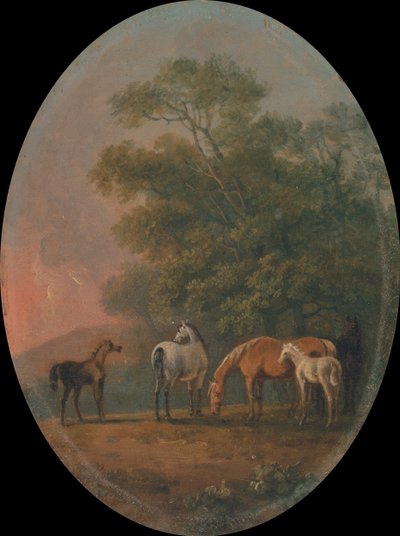 Cavalle e puledri da Sawrey Gilpin